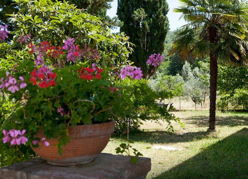Fattoria La Tavernuzza Grassina Rom bilde